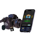 Dolphin Camera Gear-0